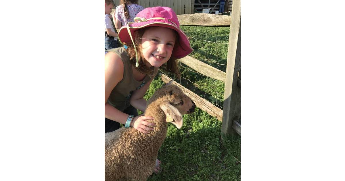 Potter's Farm a Farm No More Zoning Board Approved Dementia Center