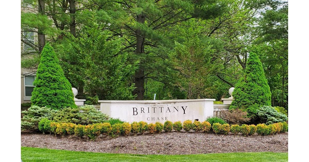 Brittany Chase Fraud Lawsuit Ends in 1.1 Million Settlement Wayne