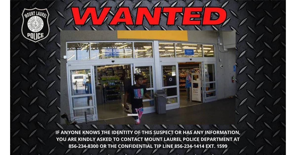 MLPD Seeks Public's Help in ID'ing Cell Phone Theft Suspect | Mount ...