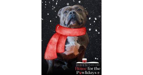 Uncle mugsy and the terrible twins of christmas