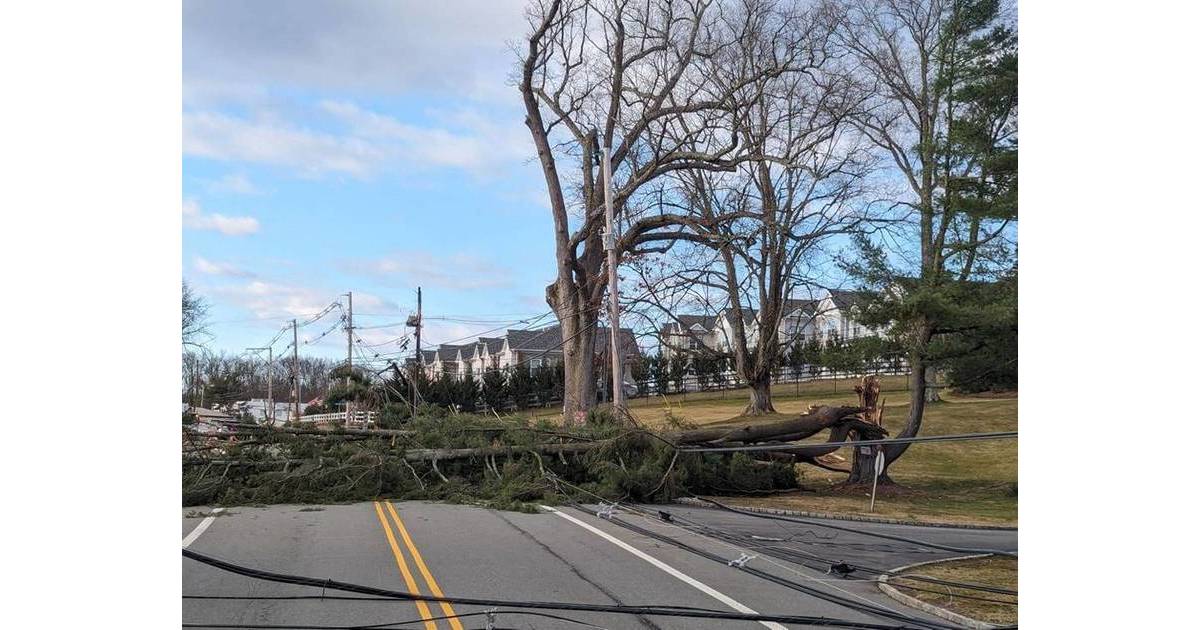 'All About Florham Park Day' to foster fun and community connections ...
