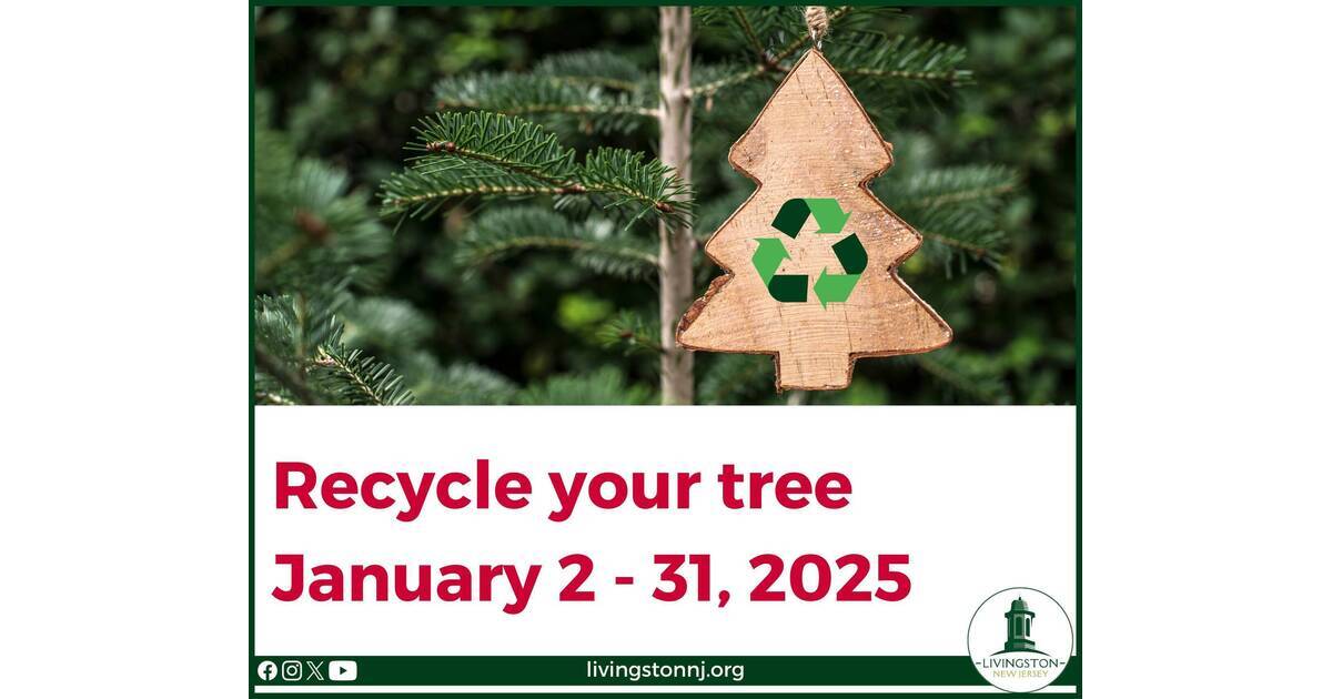 Livingston’s 2025 Christmas Tree Collection and Recycling Program to ...