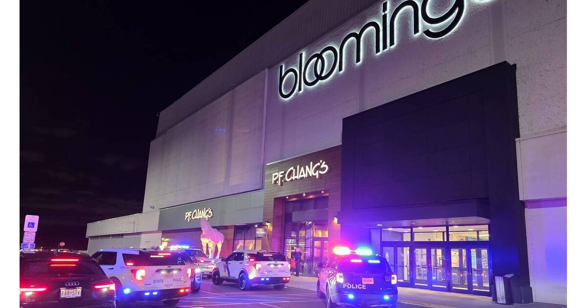 update-reports-of-shooting-at-the-willowbrook-mall-no-one-hurt