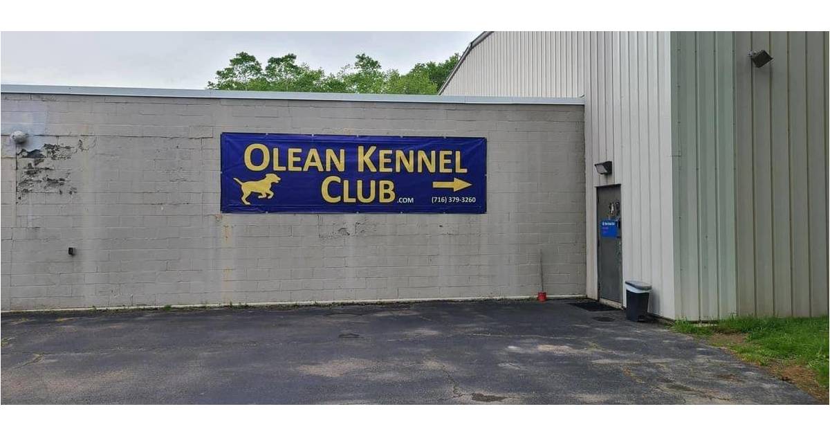 Olean Kennel Club Sets Aug. 27 Responsible Dog Owners Day Greater