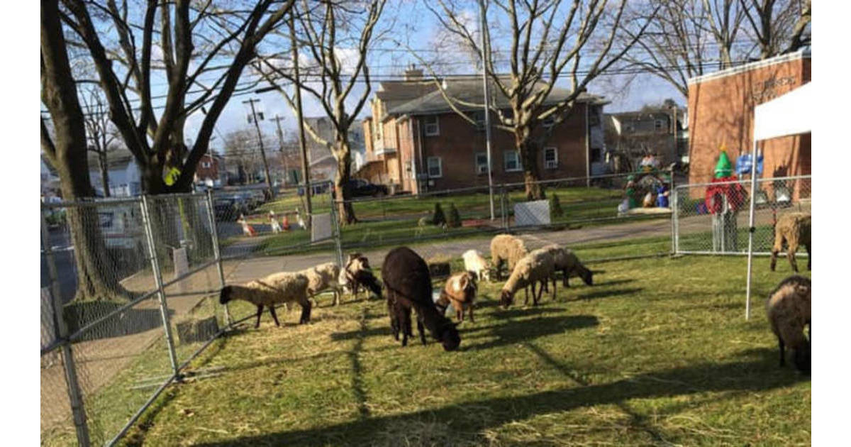 Church of Saint Theresa in Kenilworth Living Nativity Update