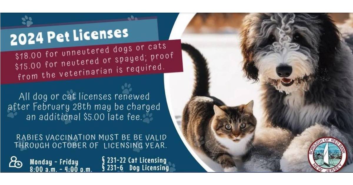 Time to Renew 2024 Red Bank Dog and Cat Licenses Red Bank, NJ News