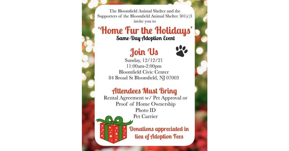 Bloomfield Animal Shelter Holding "Home Fur the Holiday" Adoption Event