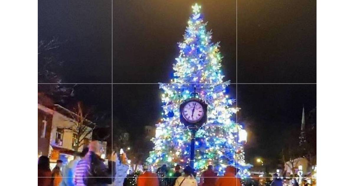 Madison Christmas Tree 