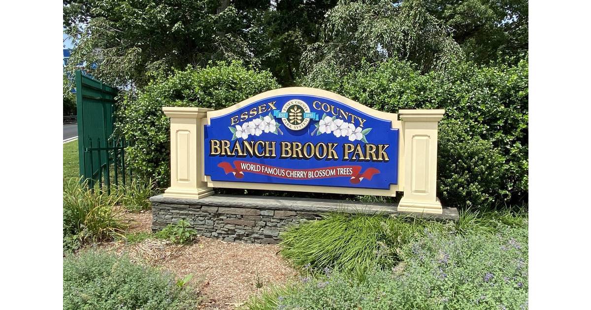 Branch Brook Park Alliance Receives 4K Grant To Back Conservation