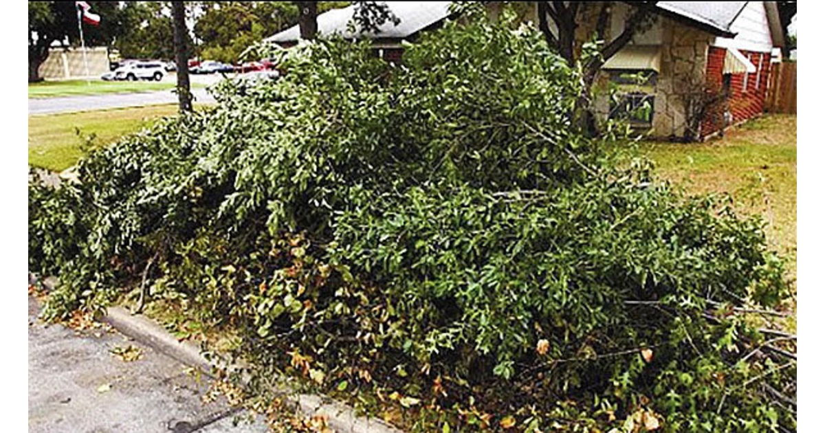 Fanwood Brush Pickup Dates Announced Scotch Plains/Fanwood, NJ News