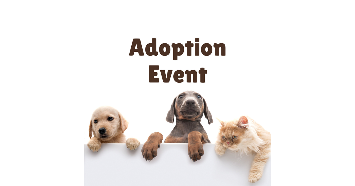 St. Hubert's Holding "Tails or Treats" Pet Adoption Event on Saturday