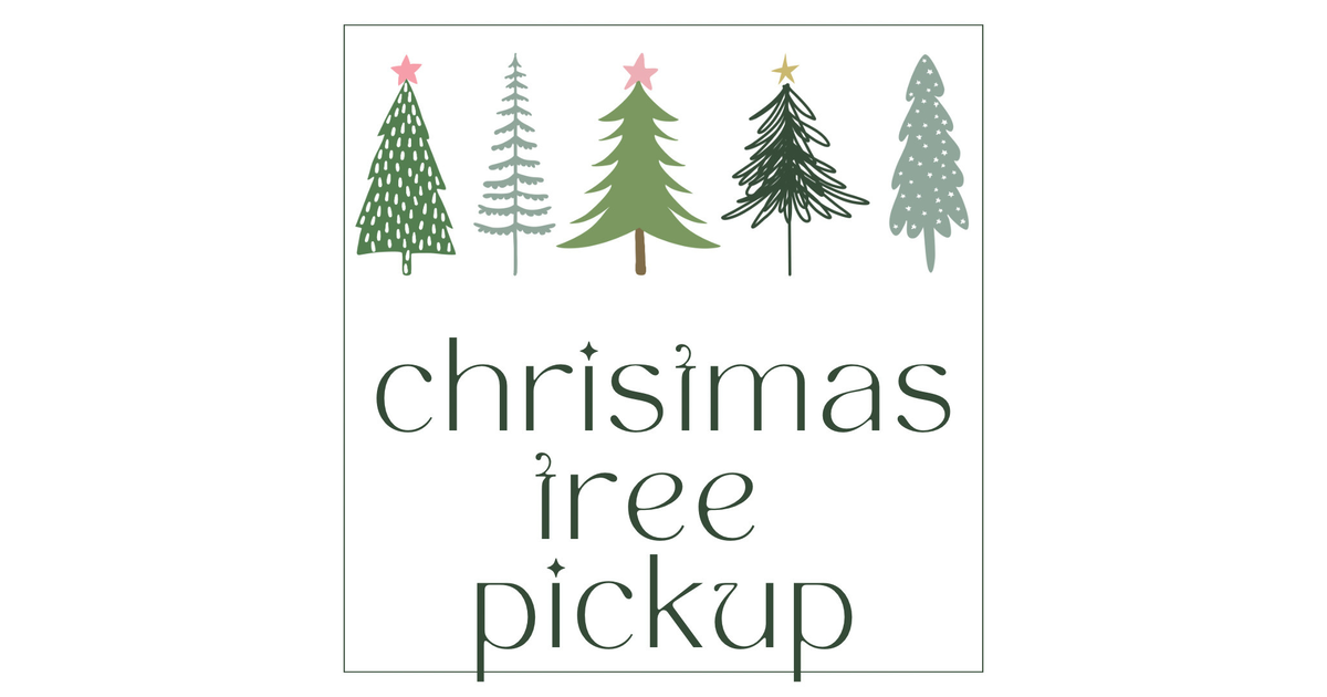 Holiday CleanUp Christmas Tree Pickup in Morris Township, Morristown