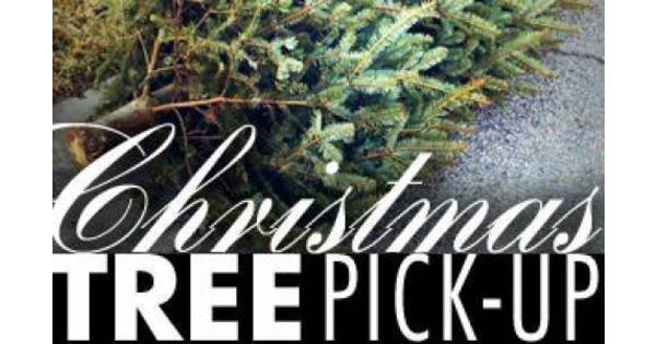Springettsbury township christmas tree pickup