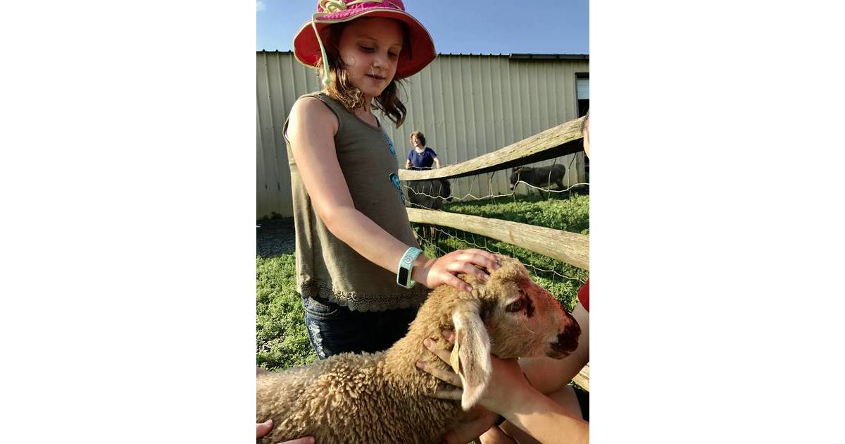 Battle Brewing Preservation of Potter's Farm Takes on United Methodist