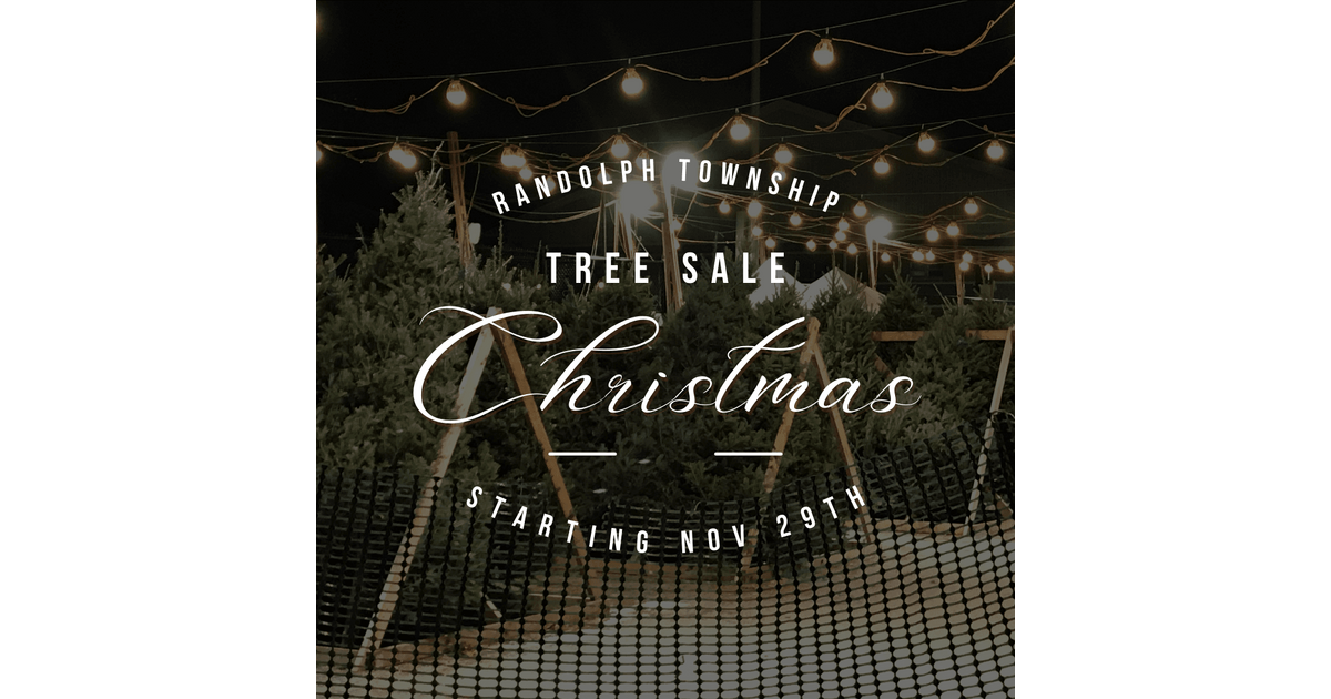 Randolph school under the christmas tree