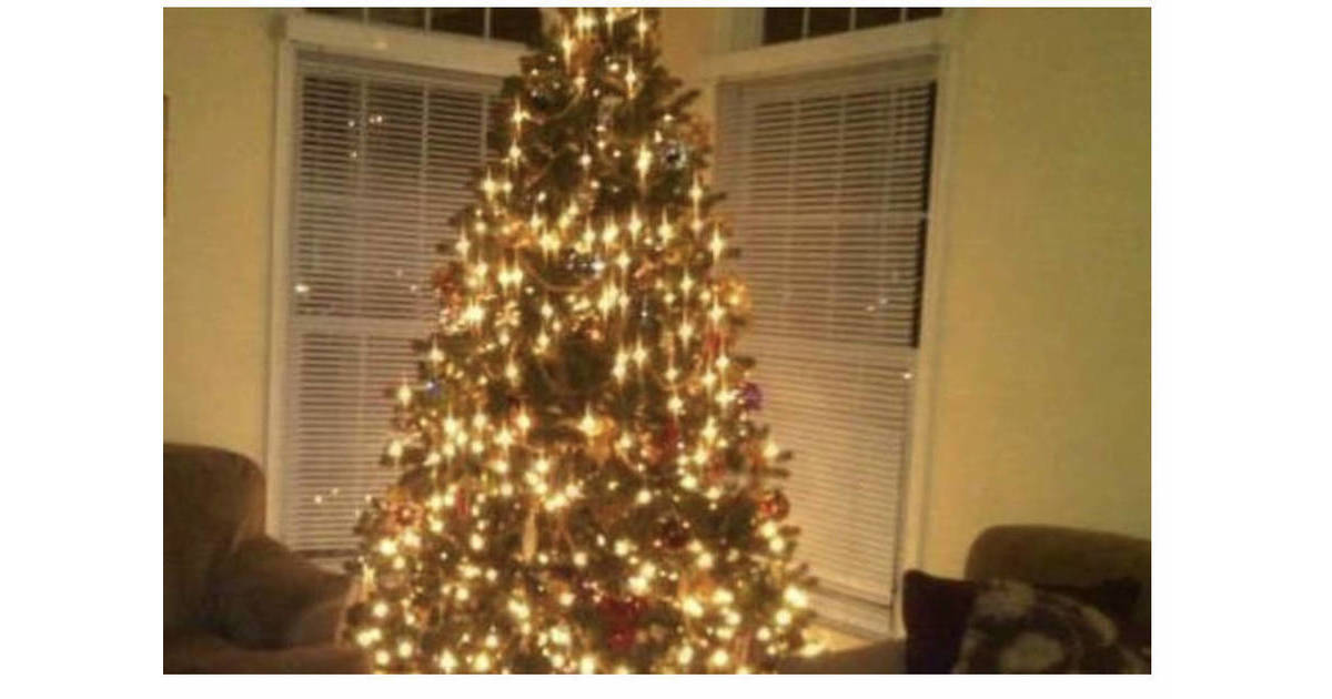 How do I Get Rid of my Christmas Tree in Hoboken? Hoboken, NJ News