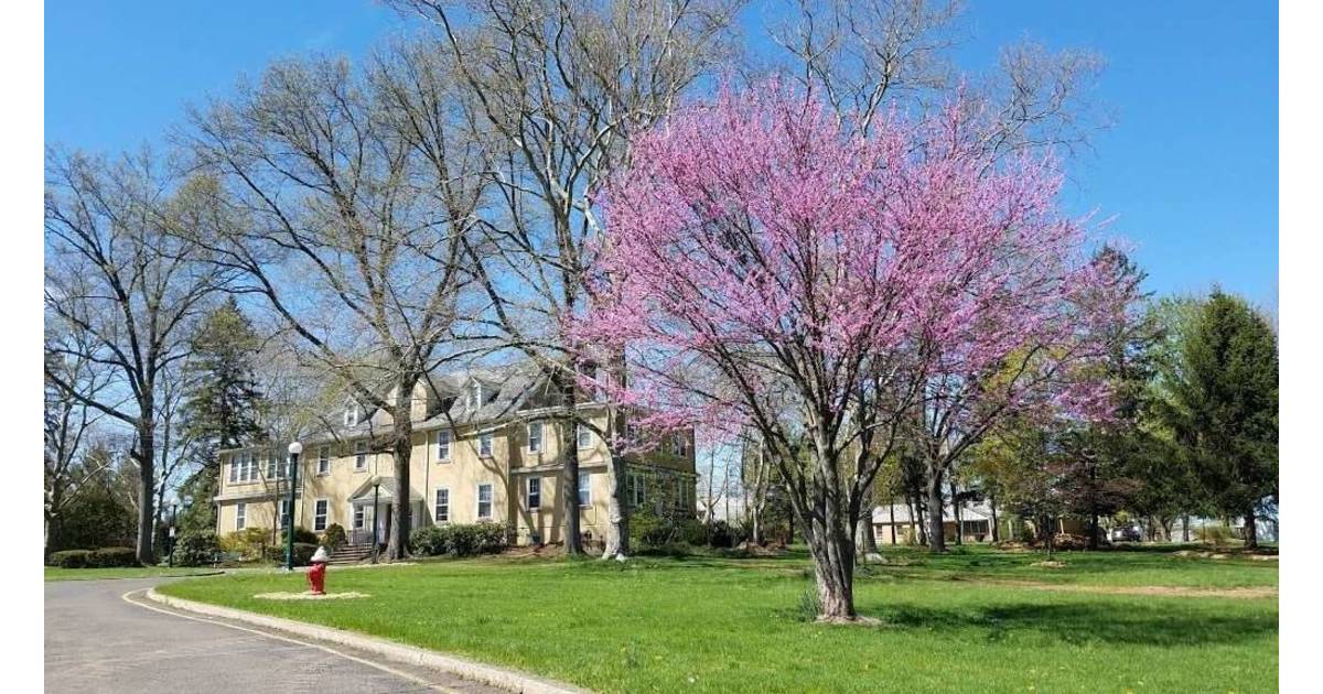 Pillar College Adds Campus in Basking Ridge to Meet Growing Demand for