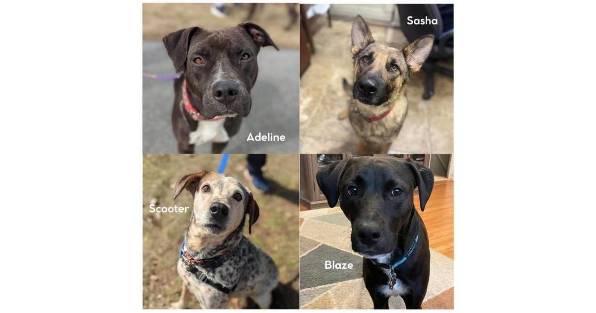 So Much Love Somers, NY News TAPinto