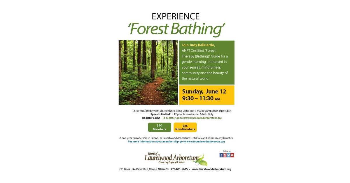 Experience 'Forest Bathing' at Laurelwood Arboretum | Wayne, NJ News TAPinto