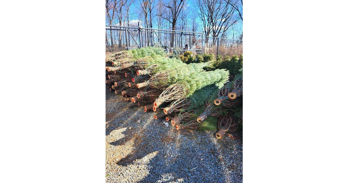 Holiday Traditions Start Early in Nutley, Franklin Farms Christmas