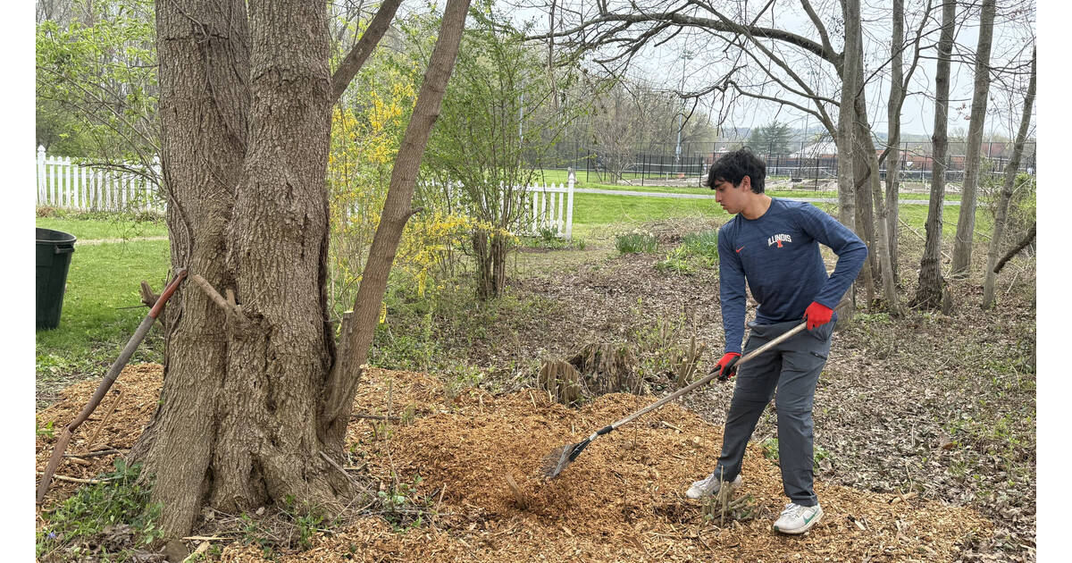 新普罗维登斯童军完成鹰项目振兴盐盒博物馆场地 | New Providence Scout Completes Eagle Project Revitalizing Salt Box Museum Grounds