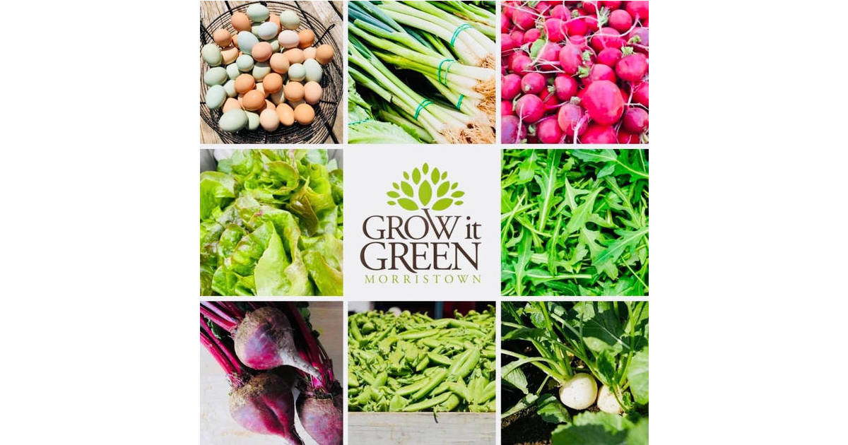 Morristown Urban Farm Spring into Action Fundraiser May 1 Morristown, NJ News TAPinto