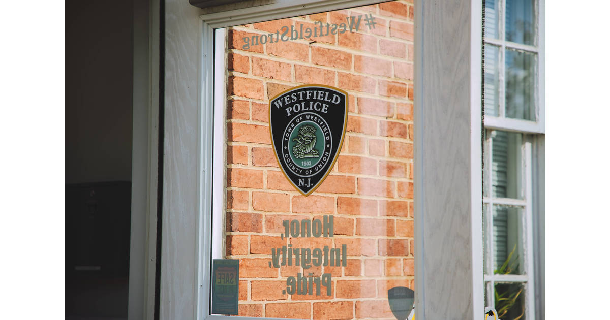 Westfield Police Shoplifters, Thieves Targeted Business Plaza