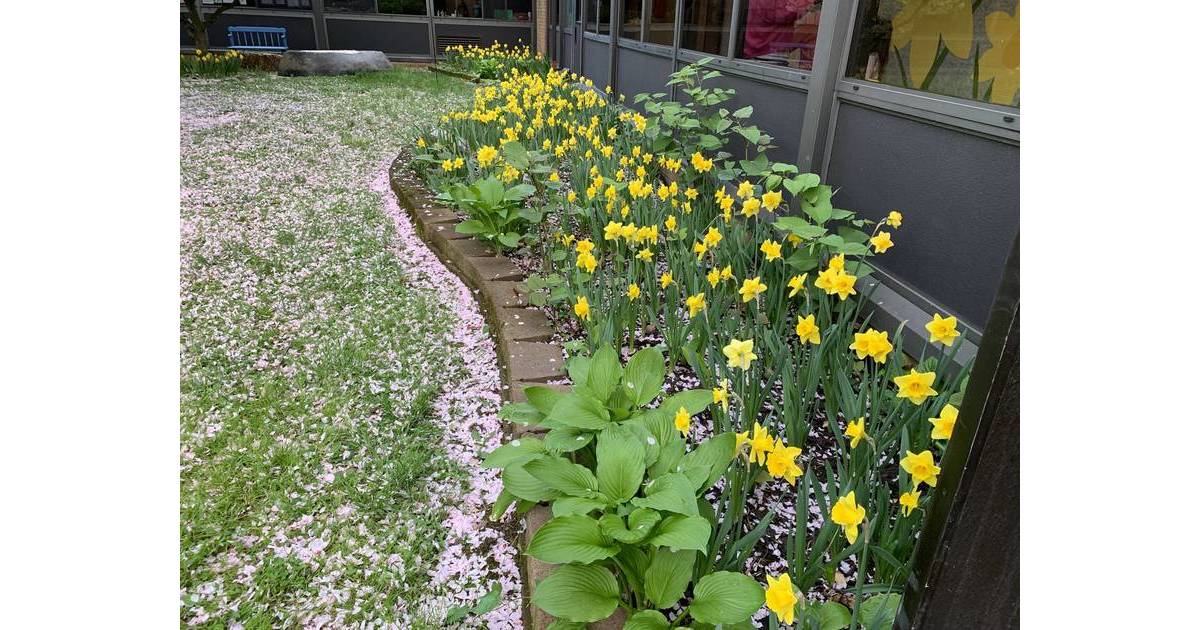 Holocaust Survivor to Speak at Cranford's Remembrance Day Event