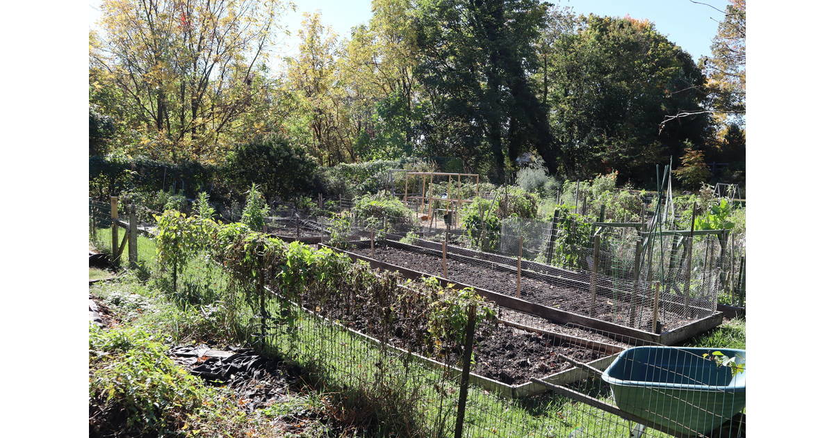 Borough Residents Complain of Varmint Troubles in Doylestown’s ...