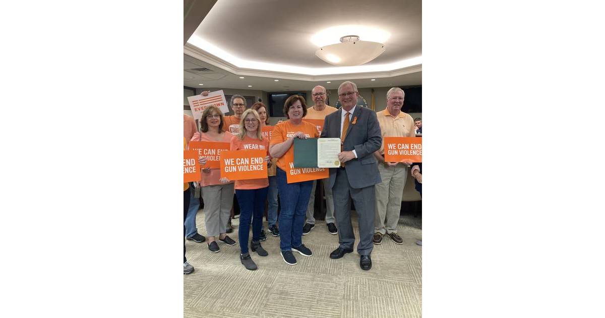 Borough Council Draws Attention to Gun Violence and Period Poverty