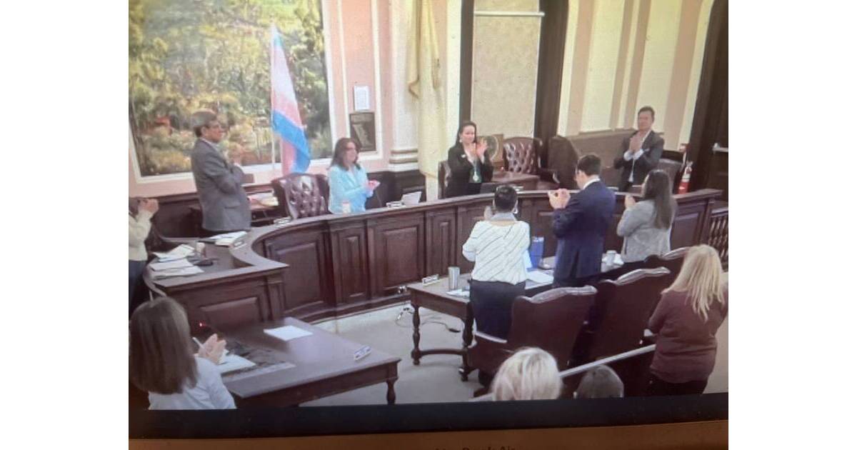 Maplewood Designates March 31 Transgender Day of Visibility