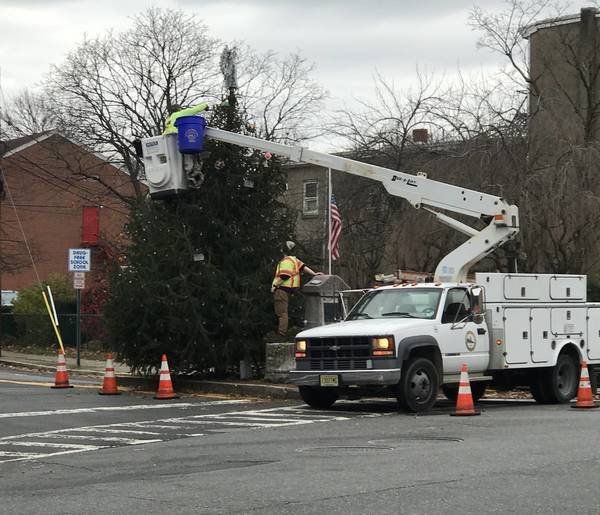 Enjoy the City Christmas Tree Lighting Safely From Home Tomorrow Night