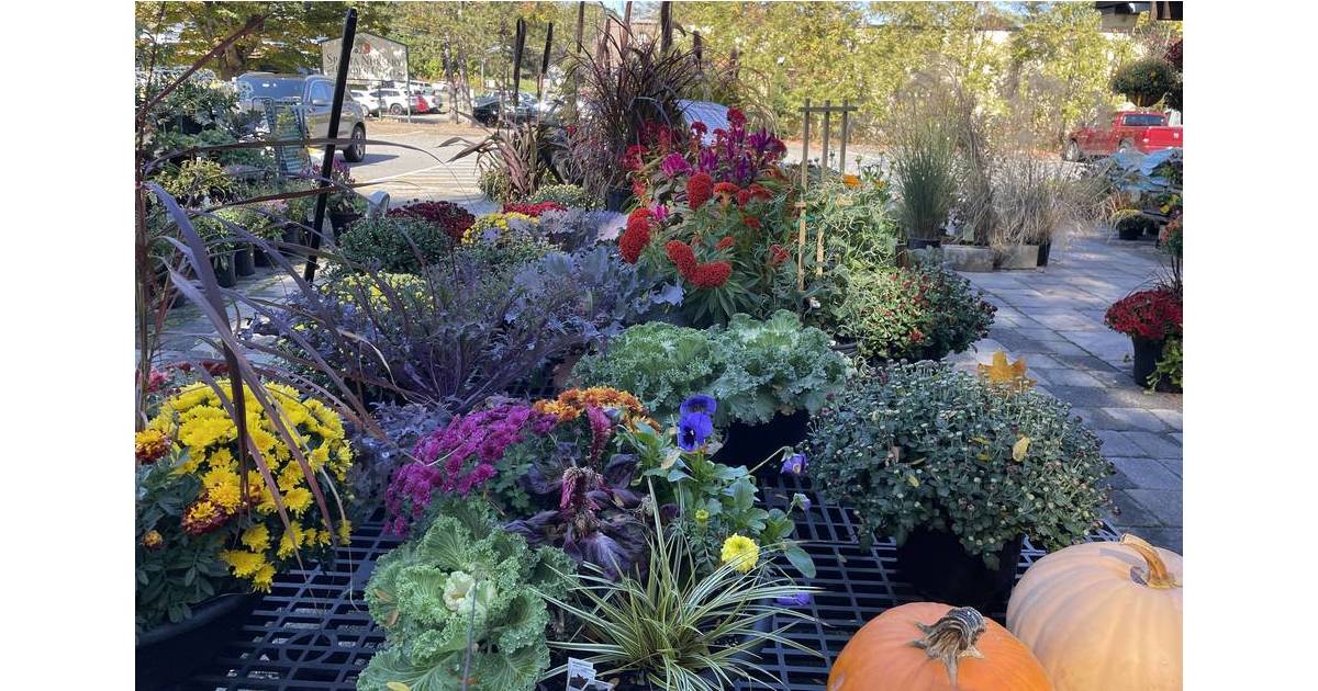 Sparta Nursery and Garden Center Everything You Need for Fall
