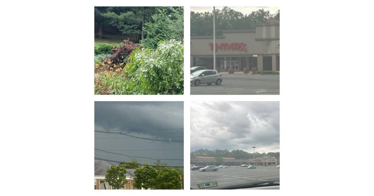 Downed Tree Closes Hillcrest Road, Power Outages Warren, NJ News TAPinto