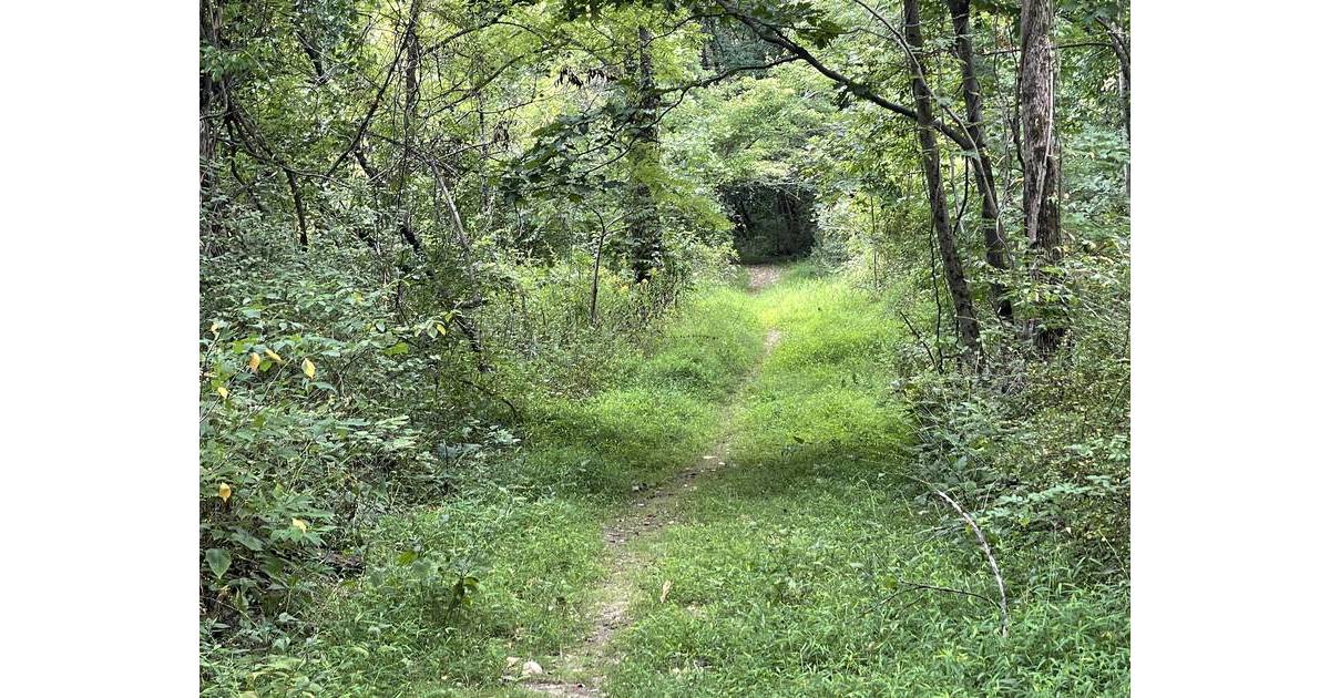 Sparta Mountain Trail and Site Closure | Sparta, NJ News TAPinto