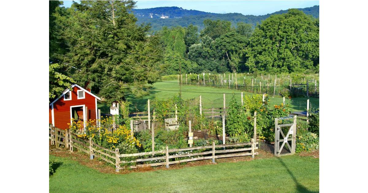 Sparta Community Gardens has Openings Sparta, NJ News TAPinto
