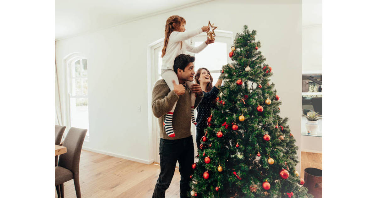 There's Still Time to Get Rid of Your Christmas Tree in Jersey City