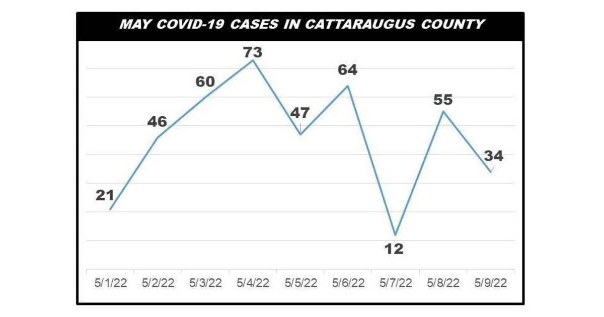 Cattaraugus County Health Reports 89 COVID Cases May 89 Greater