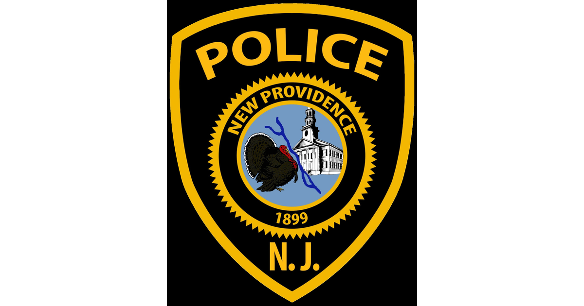 New Providence Police Report as of February 17, 2023 New Providence