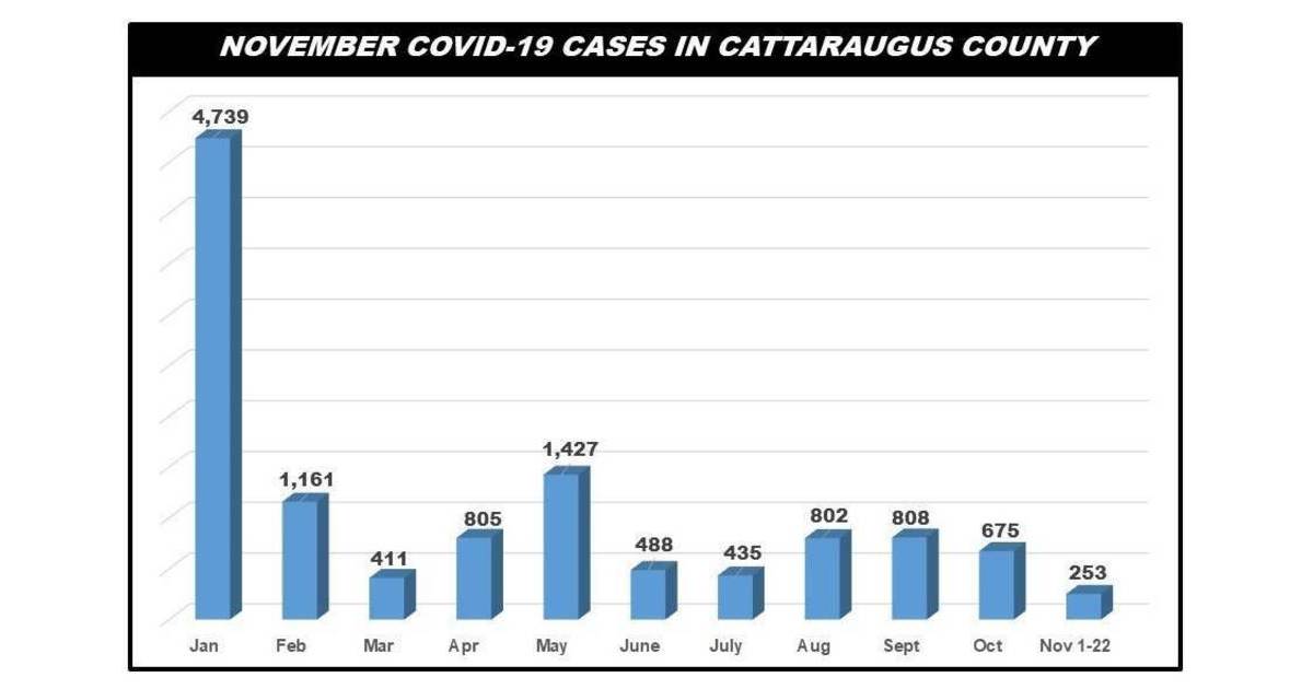 Cattaraugus County Reports 10 New COVID Cases Nov. 22 Greater Olean