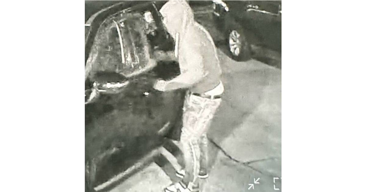 MLPD Seeks Suspect Who Broke Into Unlocked SUV on Ramblewood Parkway ...