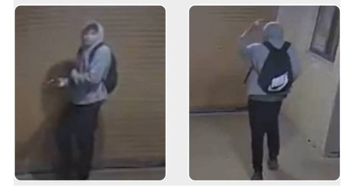 Mt. Laurel Police Seek Out Multiple Suspects Who Vandalized Laurel ...