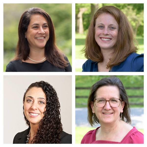 Elections Meet the Lewisboro Town Board Candidates Halston Media, NY