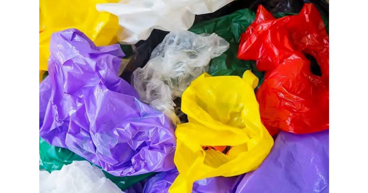 SingleUse Plastics Ban Removes 30.5 Million Bags from Woodbridge's