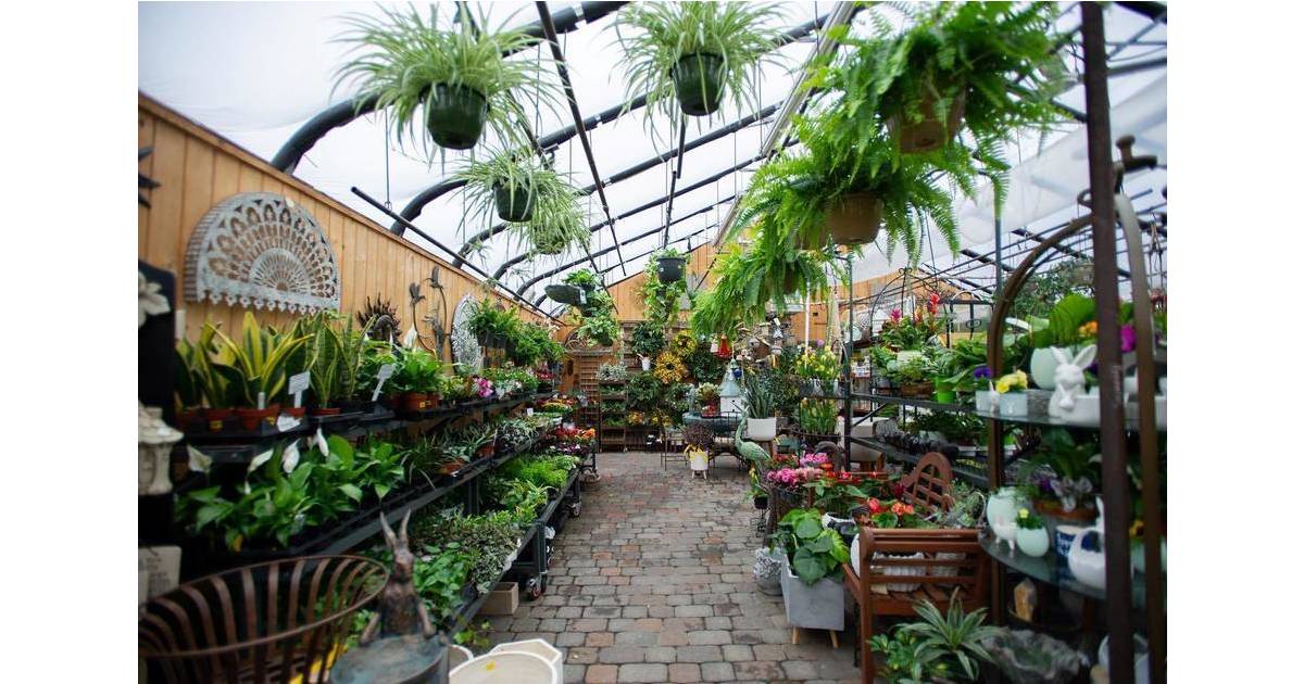 Explore Reynolds Garden Shop & Floral Market This Saturday for a Chance