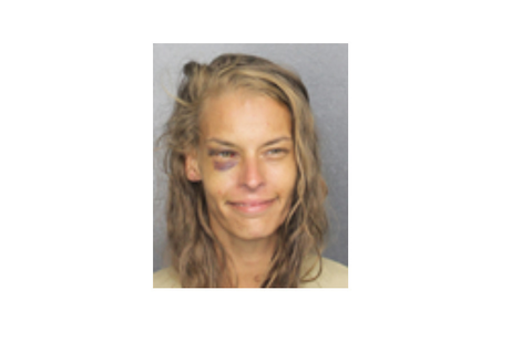 Woman Charged With Stealing Car in Coral Springs and Trying To Steal ...