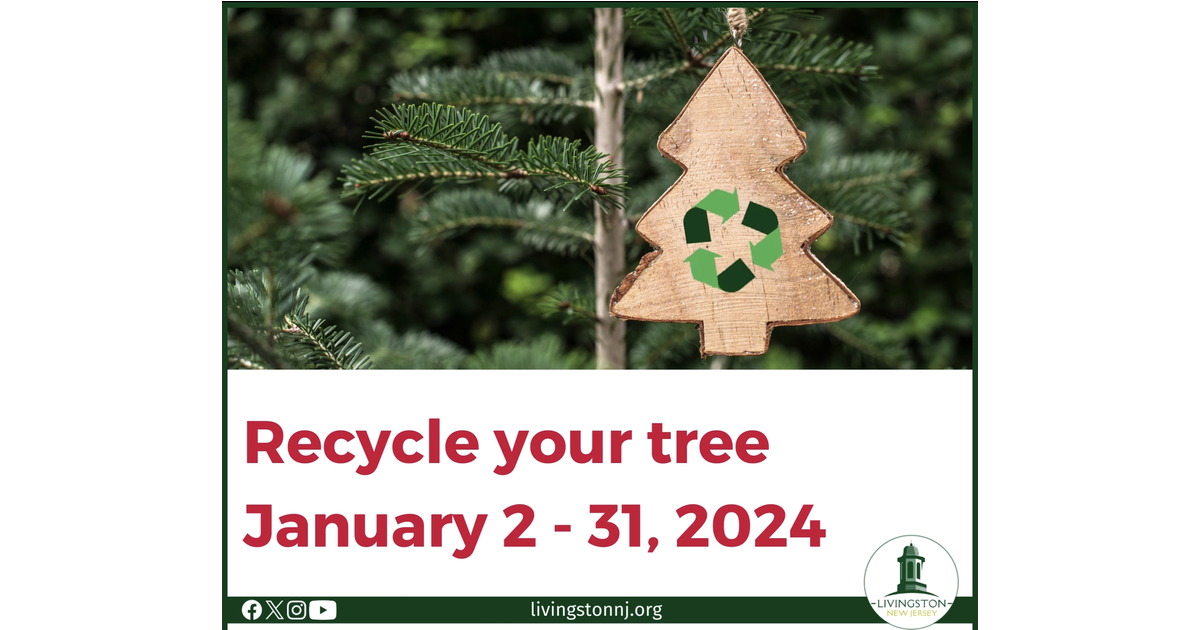 Livingston’s 2024 Christmas Tree Collection and Recycling Program to