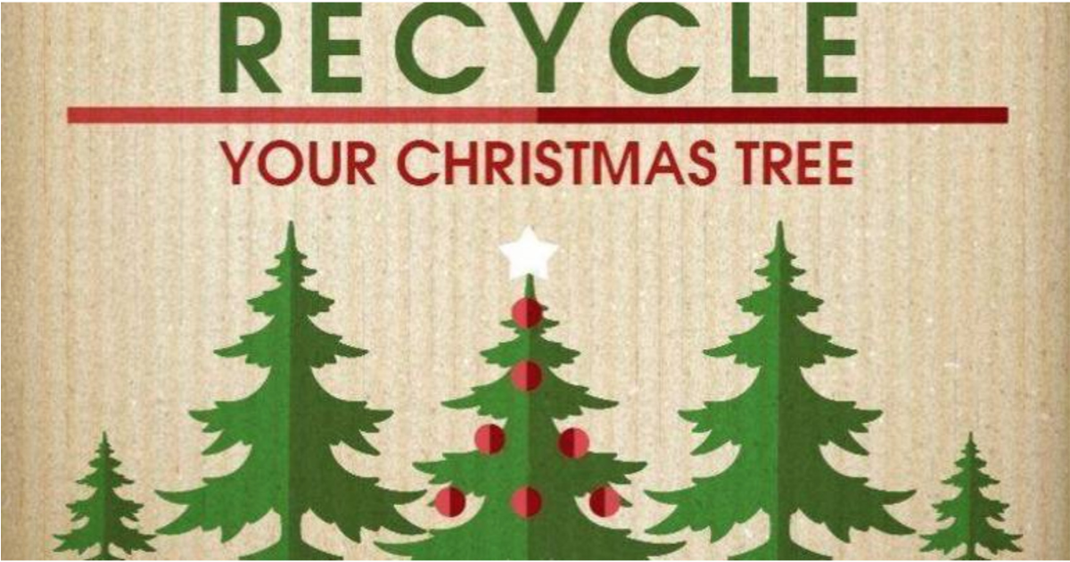 Christmas Tree Recycling in Livingston Continues Through Jan. 31