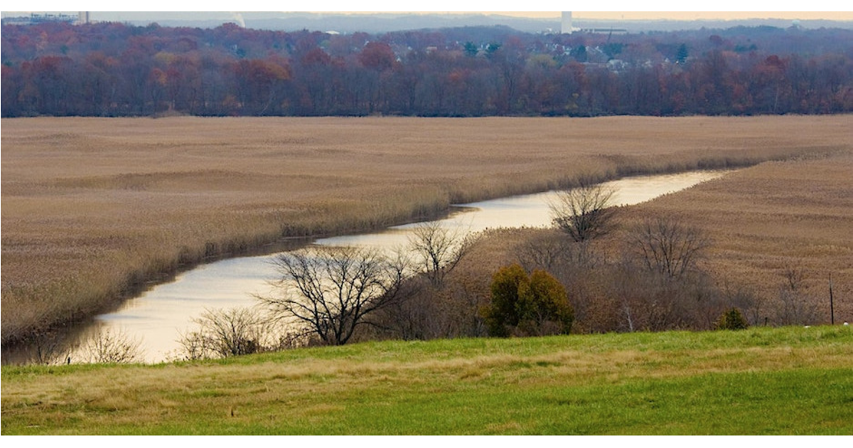 Where Stuff Goes When We Throw it 'Away' Edgeboro Landfill Open House
