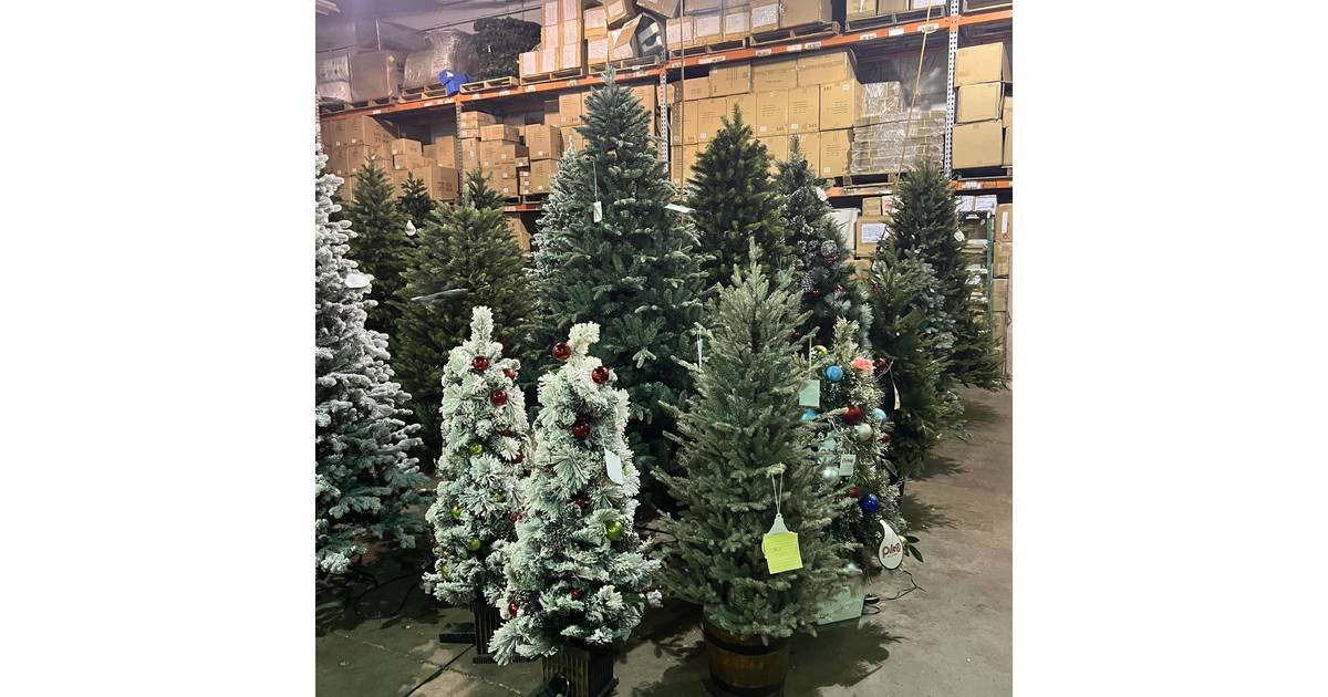 South PlainfieldBased Puleo International Opening November 17 South